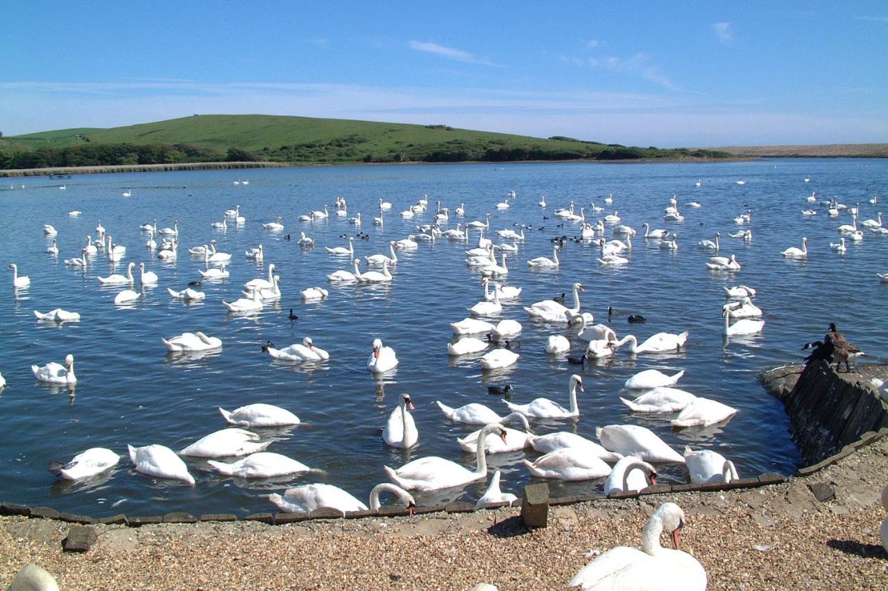 Abbotsbury Tea Rooms Exterior foto